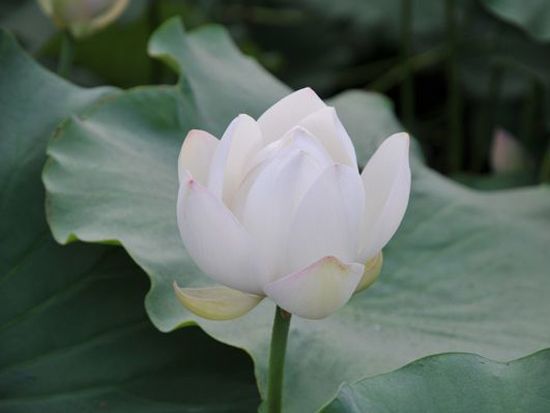 建筑诗歌鉴赏（一）