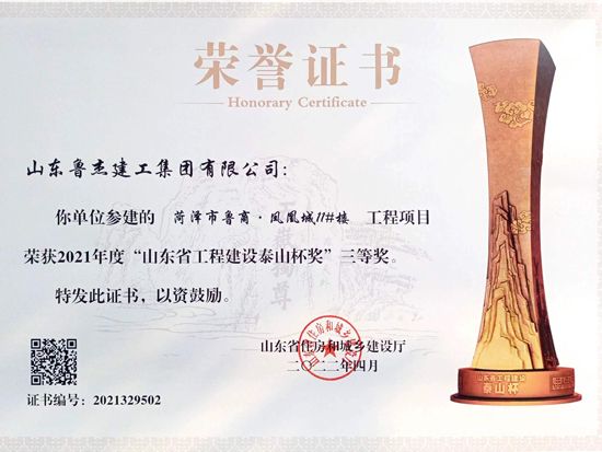山东省工程建设泰山杯奖